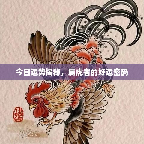今日運勢揭秘，屬虎者的好運密碼