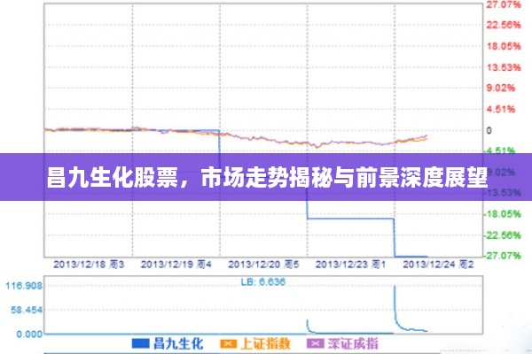 昌九生化股票，市場(chǎng)走勢揭秘與前景深度展望
