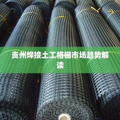 貴州焊接土工格柵市場(chǎng)趨勢解讀