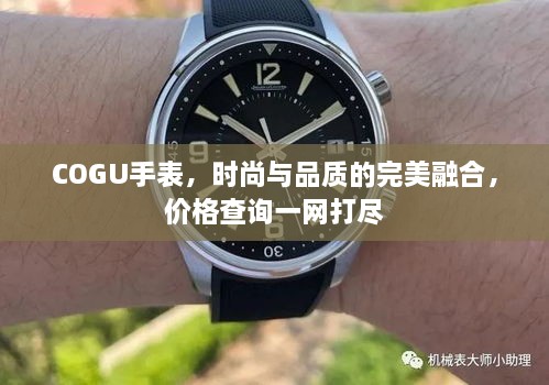 COGU手表，時(shí)尚與品質(zhì)的完美融合，價(jià)格查詢(xún)一網(wǎng)打盡