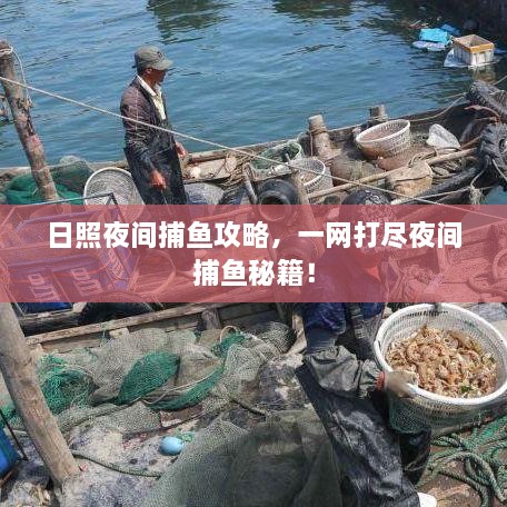 日照夜間捕魚(yú)攻略，一網(wǎng)打盡夜間捕魚(yú)秘籍！
