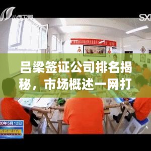 呂梁簽證公司排名揭秘，市場(chǎng)概述一網(wǎng)打盡