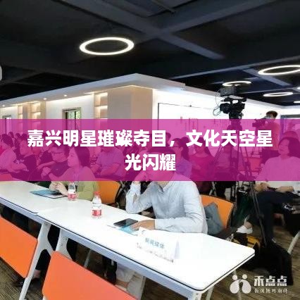 嘉興明星璀璨奪目，文化天空星光閃耀