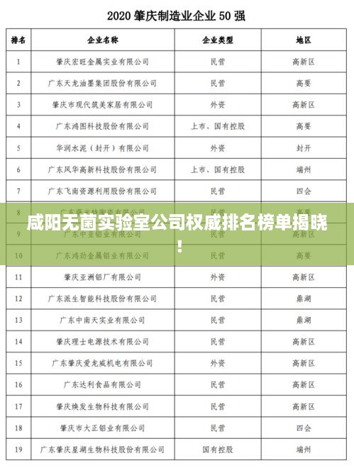 咸陽(yáng)無(wú)菌實(shí)驗室公司權威排名榜單揭曉！