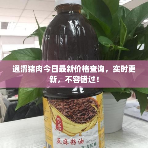 通渭豬肉今日最新價(jià)格查詢(xún)，實(shí)時(shí)更新，不容錯過(guò)！
