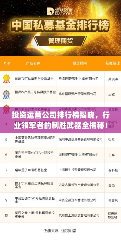 投資運營(yíng)公司排行榜揭曉，行業(yè)領(lǐng)軍者的制勝武器全揭秘！