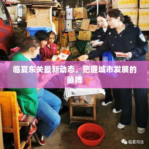 臨夏東關(guān)最新動(dòng)態(tài)，把握城市發(fā)展的脈搏