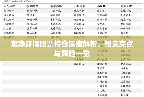 龍凈環(huán)保股票持倉深度解析，投資亮點(diǎn)與風(fēng)險一覽