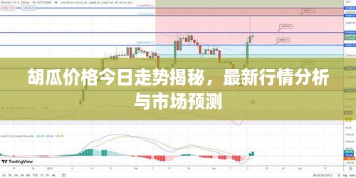胡瓜價(jià)格今日走勢揭秘，最新行情分析與市場(chǎng)預測