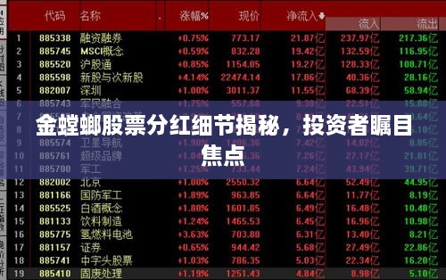 金螳螂股票分紅細節揭秘，投資者矚目焦點(diǎn)