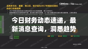 今日財務(wù)動(dòng)態(tài)速遞，最新消息查詢(xún)，洞悉趨勢，掌握財經(jīng)動(dòng)態(tài)