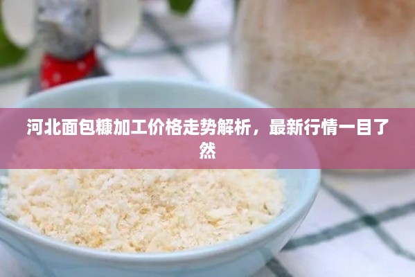 河北面包糠加工價(jià)格走勢解析，最新行情一目了然