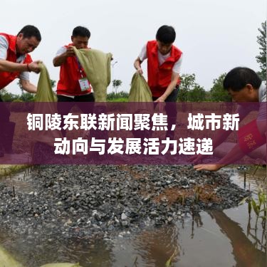 銅陵?yáng)|聯(lián)新聞聚焦，城市新動(dòng)向與發(fā)展活力速遞