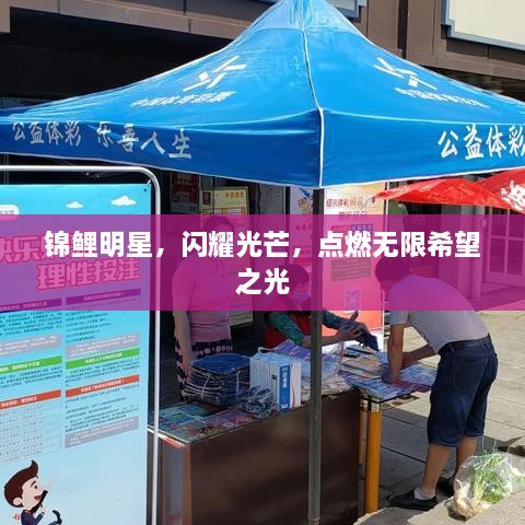 錦鯉明星，閃耀光芒，點(diǎn)燃無(wú)限希望之光