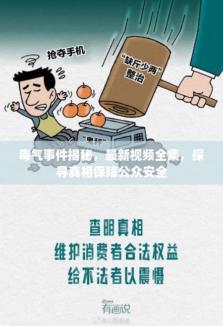 毒氣事件揭秘，最新視頻全集，探尋真相保障公眾安全