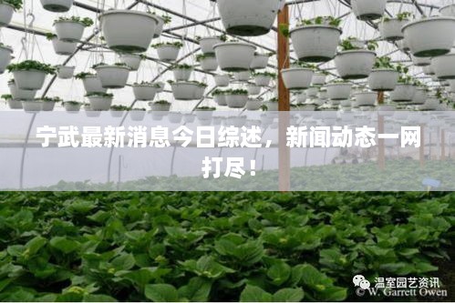 寧武最新消息今日綜述，新聞動(dòng)態(tài)一網(wǎng)打盡！
