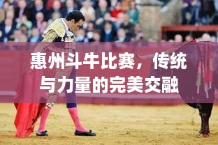 惠州斗牛比賽，傳統與力量的完美交融