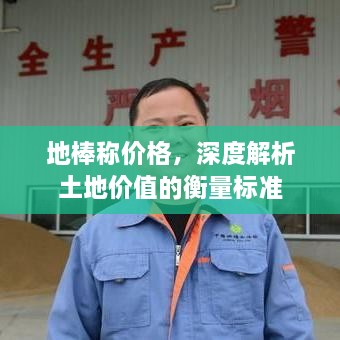 地棒稱(chēng)價(jià)格，深度解析土地價(jià)值的衡量標準