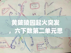 黃陂陵園起火突發(fā)，六下數第二單元思維導圖 