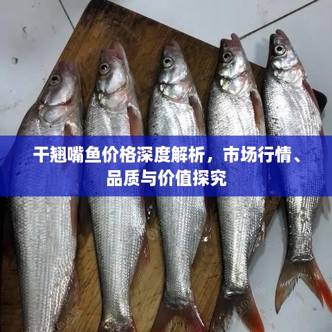 干翹嘴魚(yú)價(jià)格深度解析，市場(chǎng)行情、品質(zhì)與價(jià)值探究