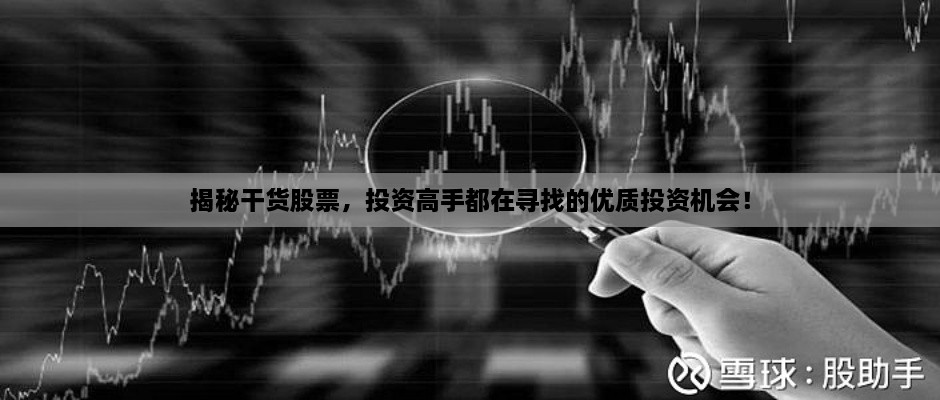 揭秘干貨股票，投資高手都在尋找的優(yōu)質(zhì)投資機會(huì )！