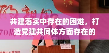 共建落實(shí)中存在的困難，打造黨建共同體方面存在的問(wèn)題 