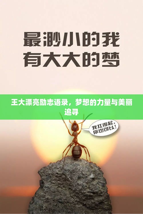 王大漂亮勵志語(yǔ)錄，夢(mèng)想的力量與美麗追尋