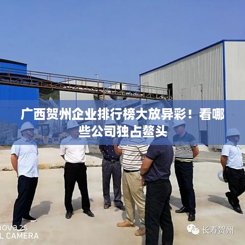 廣西賀州企業(yè)排行榜大放異彩！看哪些公司獨占鰲頭