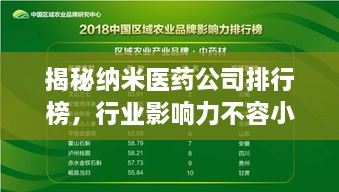 揭秘納米醫藥公司排行榜，行業(yè)影響力不容小覷！