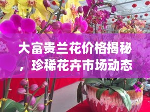 屈指可數