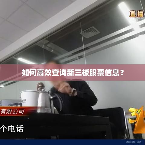 如何高效查詢(xún)新三板股票信息？