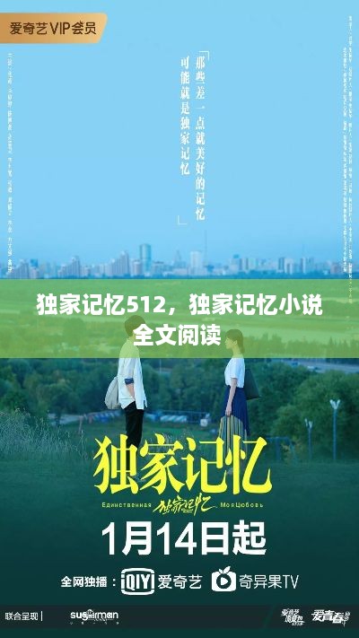 獨家記憶512，獨家記憶小說(shuō)全文閱讀 