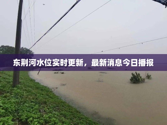 東荊河水位實(shí)時(shí)更新，最新消息今日播報