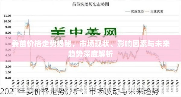 姜苗價(jià)格走勢揭秘，市場(chǎng)現狀、影響因素與未來(lái)趨勢深度解析