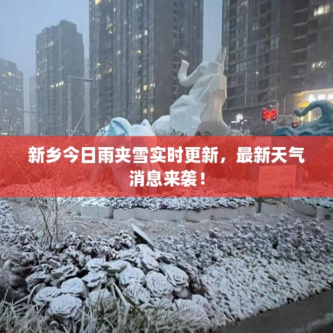 新鄉今日雨夾雪實(shí)時(shí)更新，最新天氣消息來(lái)襲！
