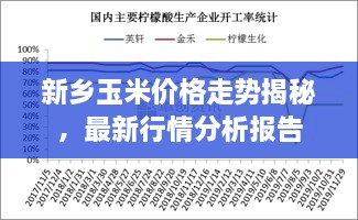 新鄉玉米價(jià)格走勢揭秘，最新行情分析報告