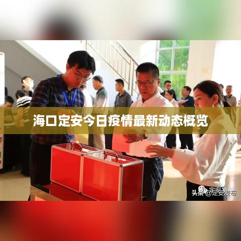 ?？诙ò步袢找咔樽钚聞?dòng)態(tài)概覽