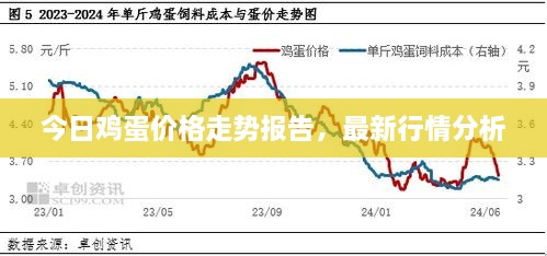 今日雞蛋價(jià)格走勢報告，最新行情分析
