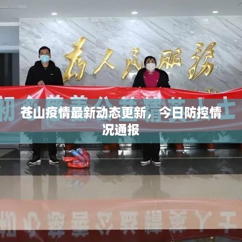 蒼山疫情最新動(dòng)態(tài)更新，今日防控情況通報
