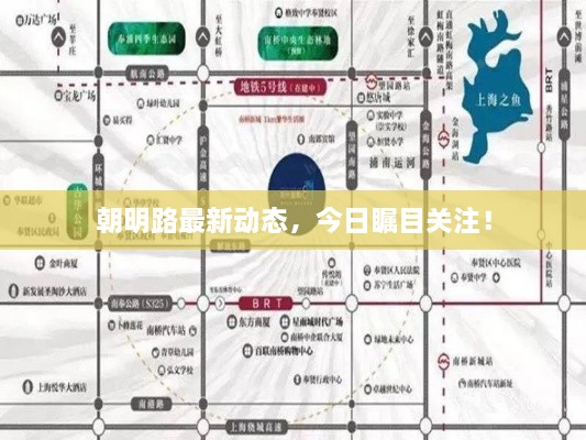 朝明路最新動(dòng)態(tài)，今日矚目關(guān)注！