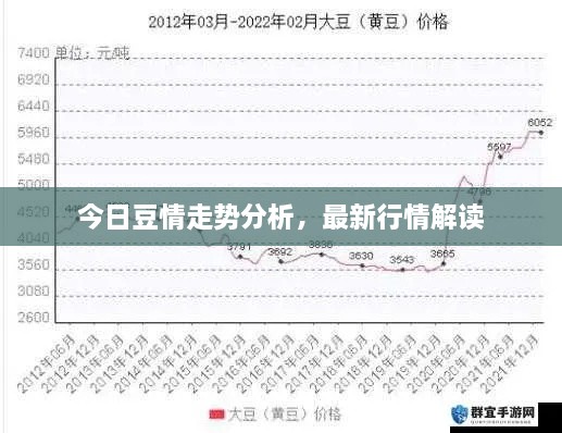 今日豆情走勢分析，最新行情解讀