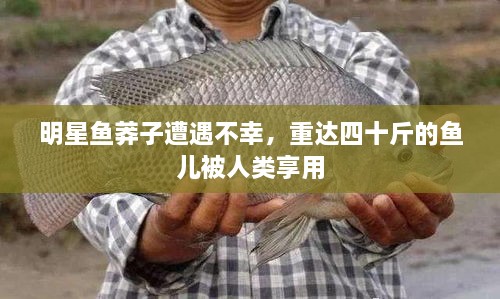 明星魚(yú)莽子遭遇不幸，重達四十斤的魚(yú)兒被人類(lèi)享用