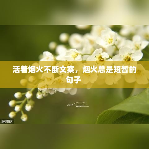 活著(zhù)煙火不斷文案，煙火總是短暫的句子 