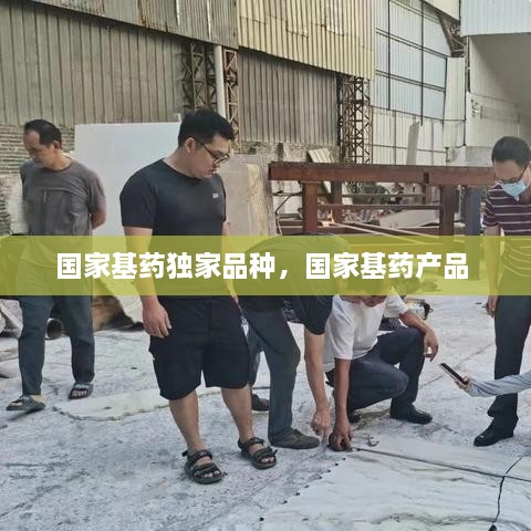 國家基藥獨家品種，國家基藥產(chǎn)品 