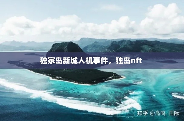 獨家島新城人機事件，獨島nft 