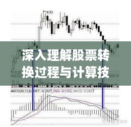 深入理解股票轉換過(guò)程與計算技巧