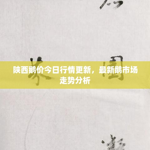 陜西鵝價(jià)今日行情更新，最新鵝市場(chǎng)走勢分析