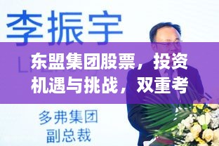 東盟集團股票，投資機遇與挑戰，雙重考量不容錯過(guò)