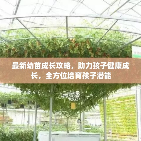 最新幼苗成長(cháng)攻略，助力孩子健康成長(cháng)，全方位培育孩子潛能