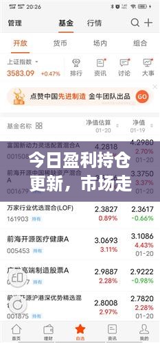 今日盈利持倉更新，市場(chǎng)走勢深度分析與操作策略揭秘